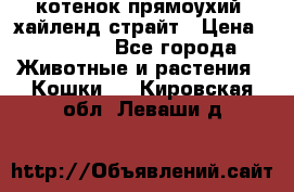 котенок прямоухий  хайленд страйт › Цена ­ 10 000 - Все города Животные и растения » Кошки   . Кировская обл.,Леваши д.